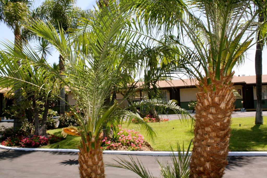 Palm Tropics Motel Glendora Exterior foto